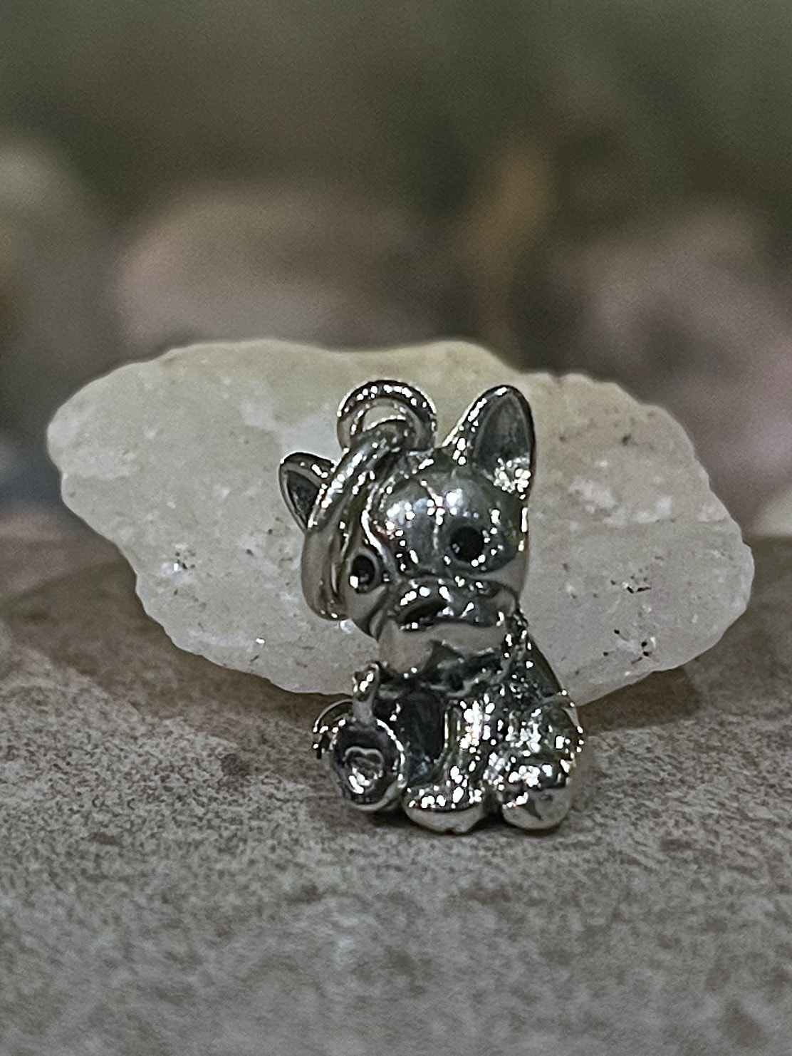 Charm bulldog — foto 2