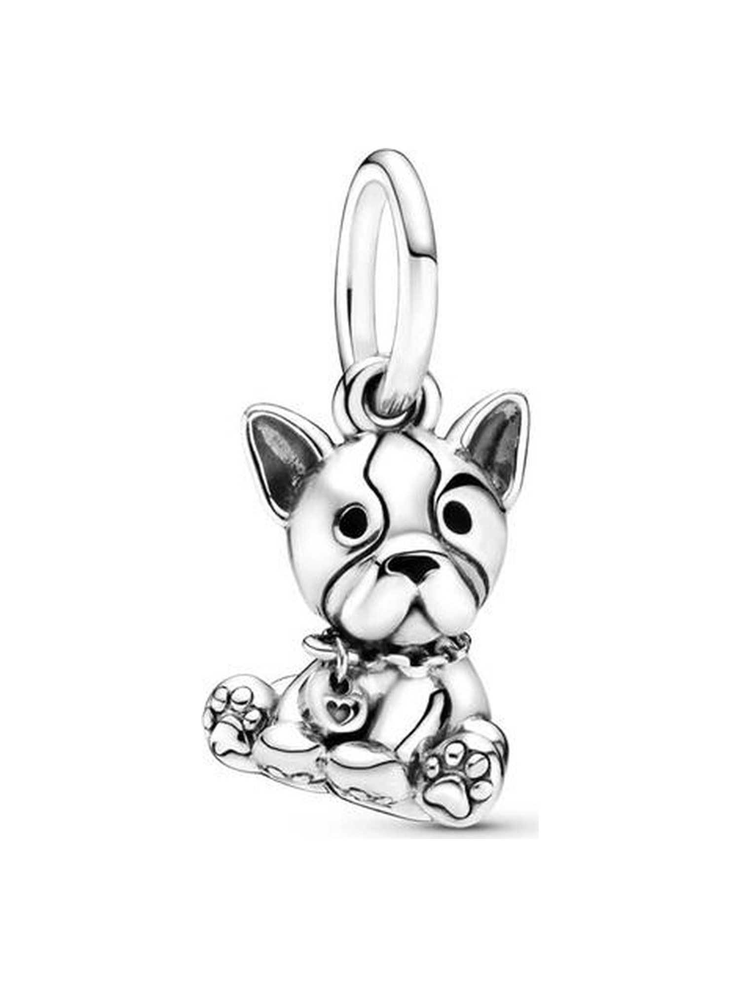 Charm bulldog