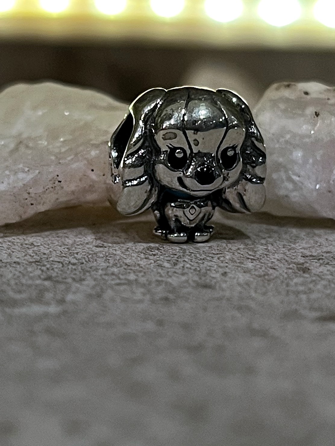 Charm Lady (La dama y el vagabundo) — foto 2